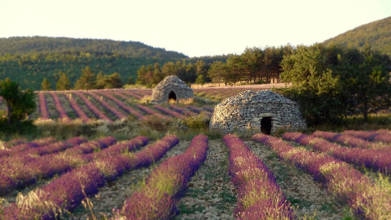 Chateau Ferrassieres Екстер'єр фото